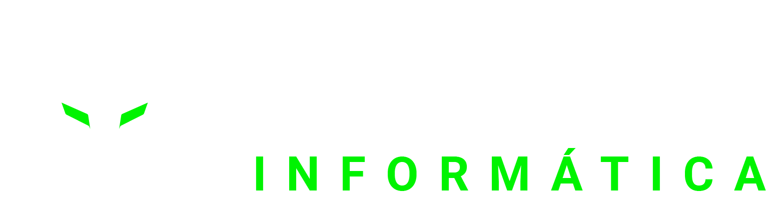 Hunter Informática